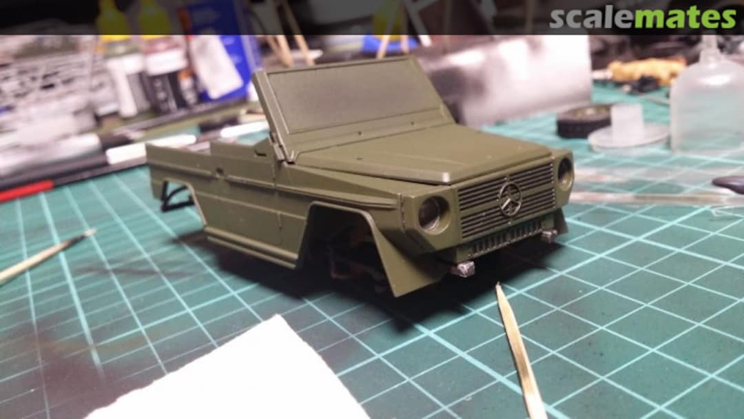 View album, image #1 View album, image #1