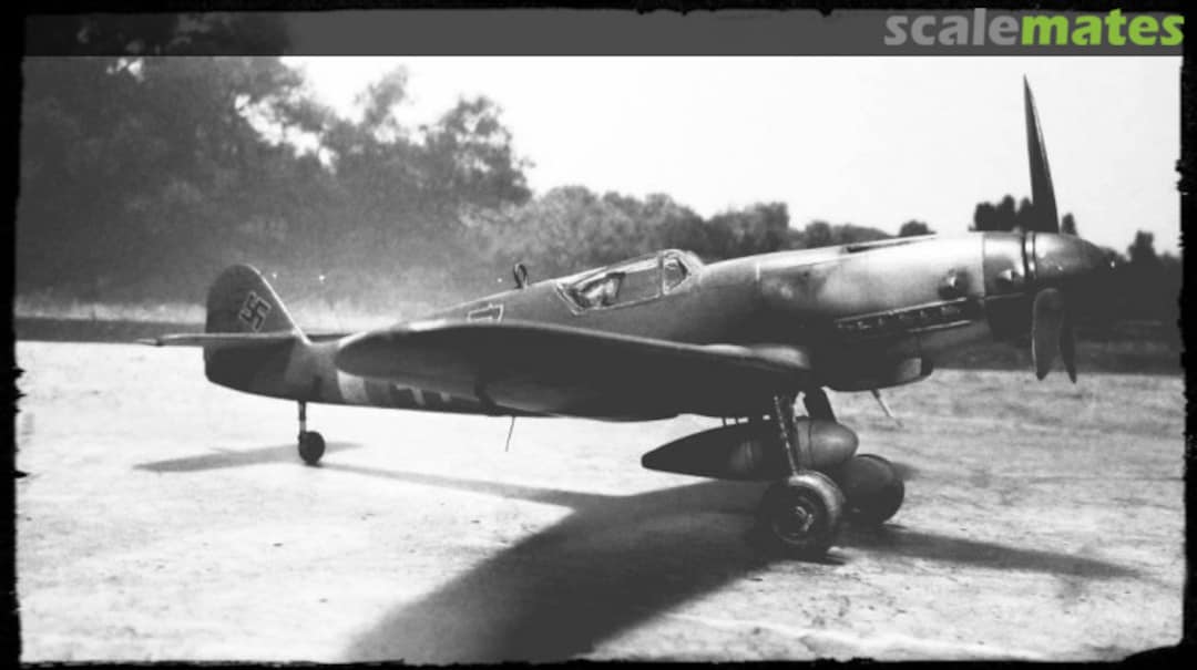 View album, image #1