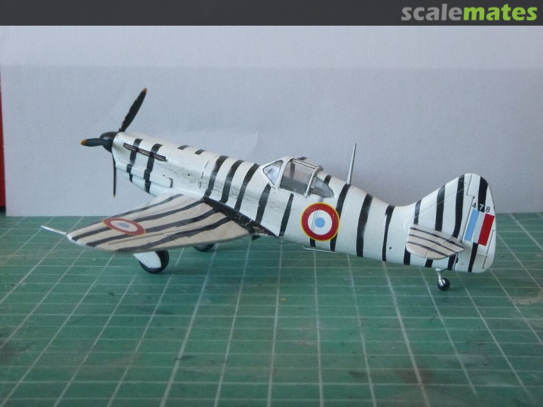 View album, image #10 View album, image #10