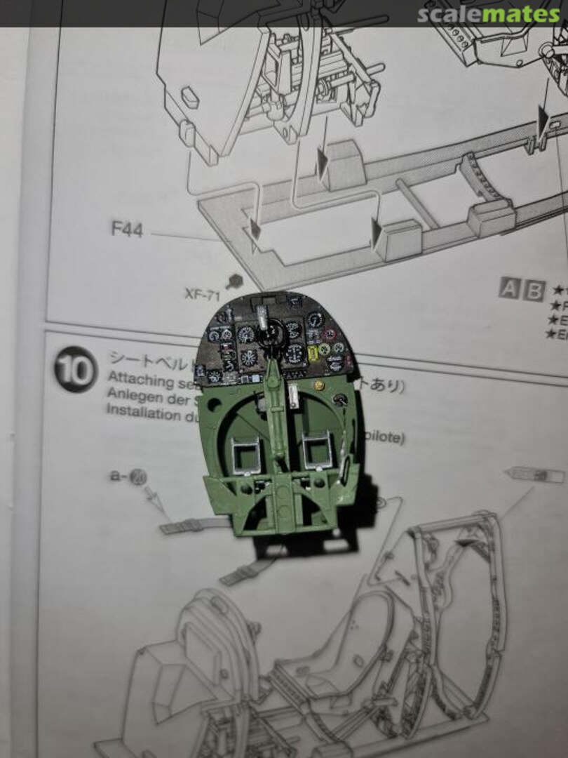 View album, image #1 View album, image #1