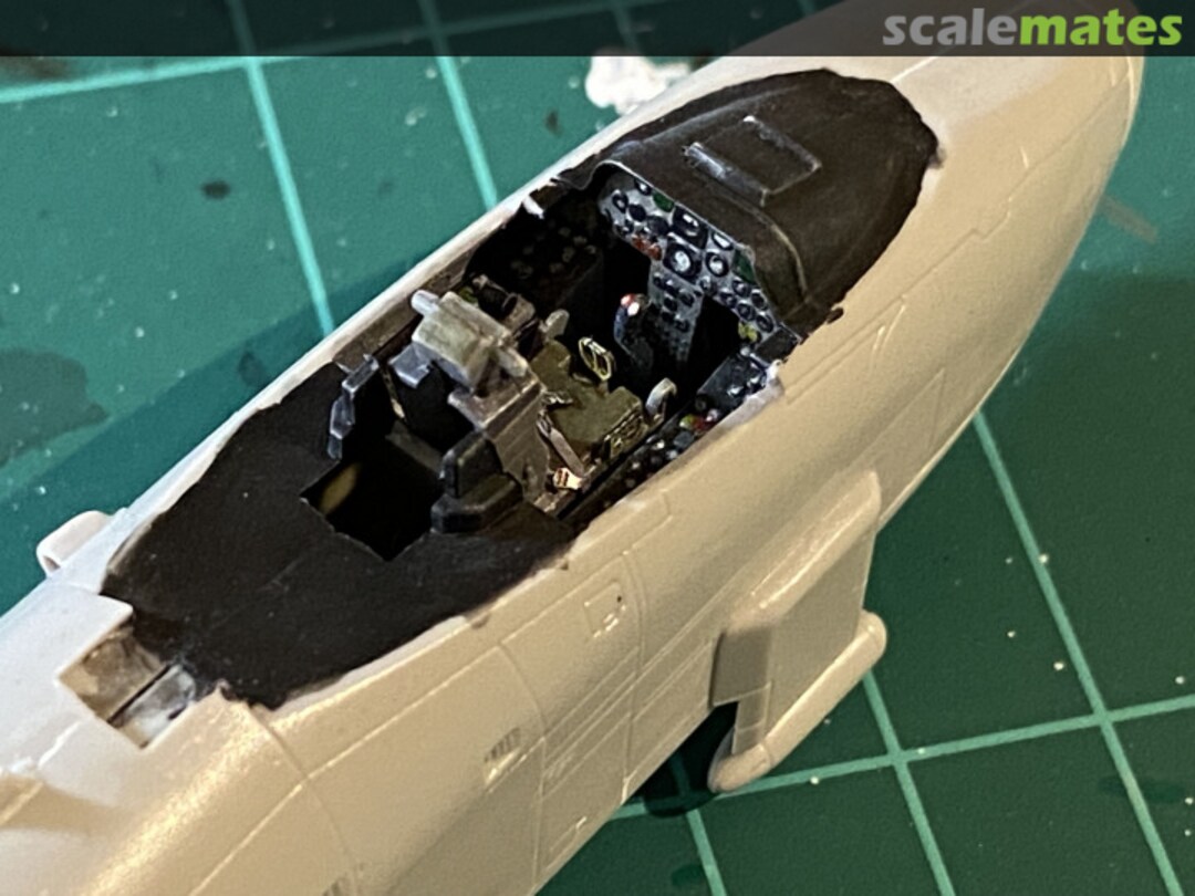 View album, image #1 View album, image #1