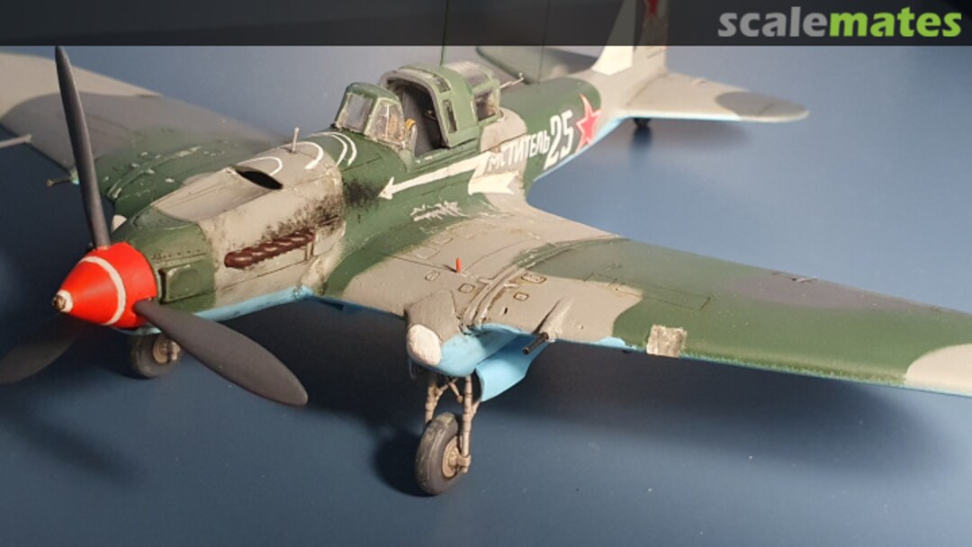 View album, image #6 View album, image #6