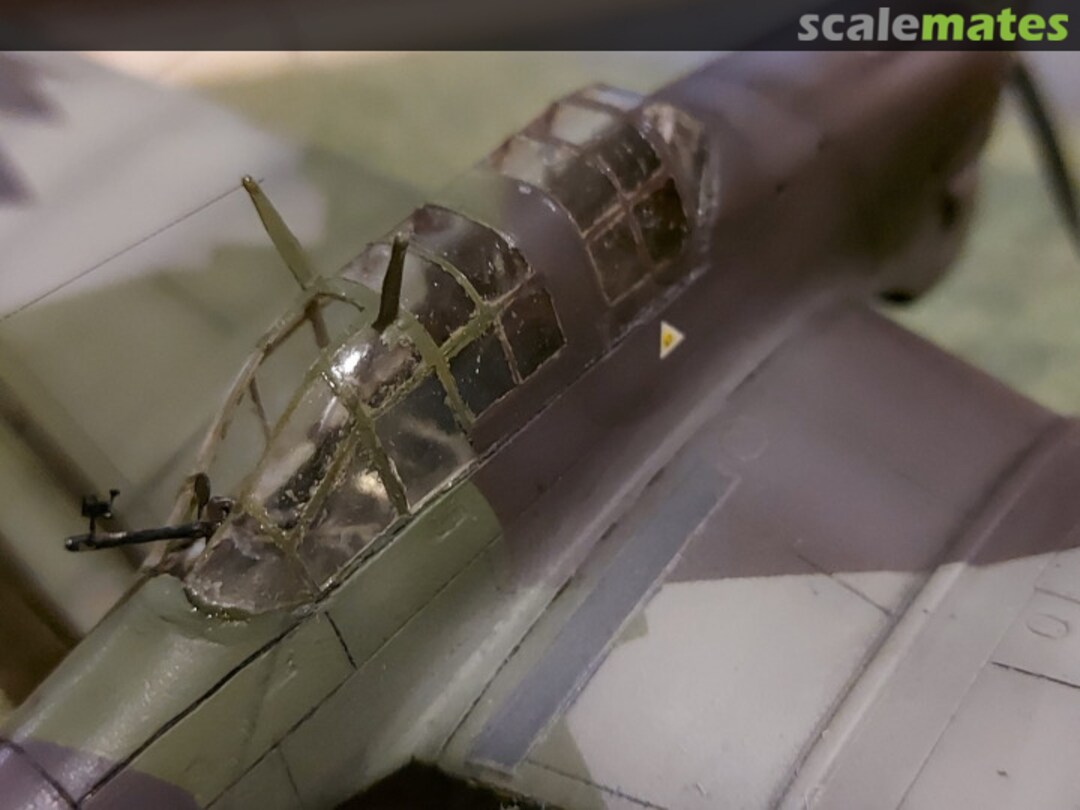 View album, image #1