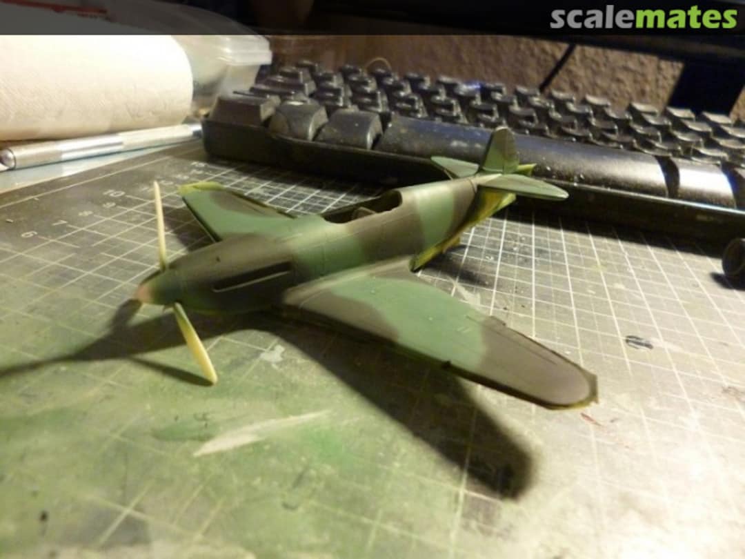 View album, image #1