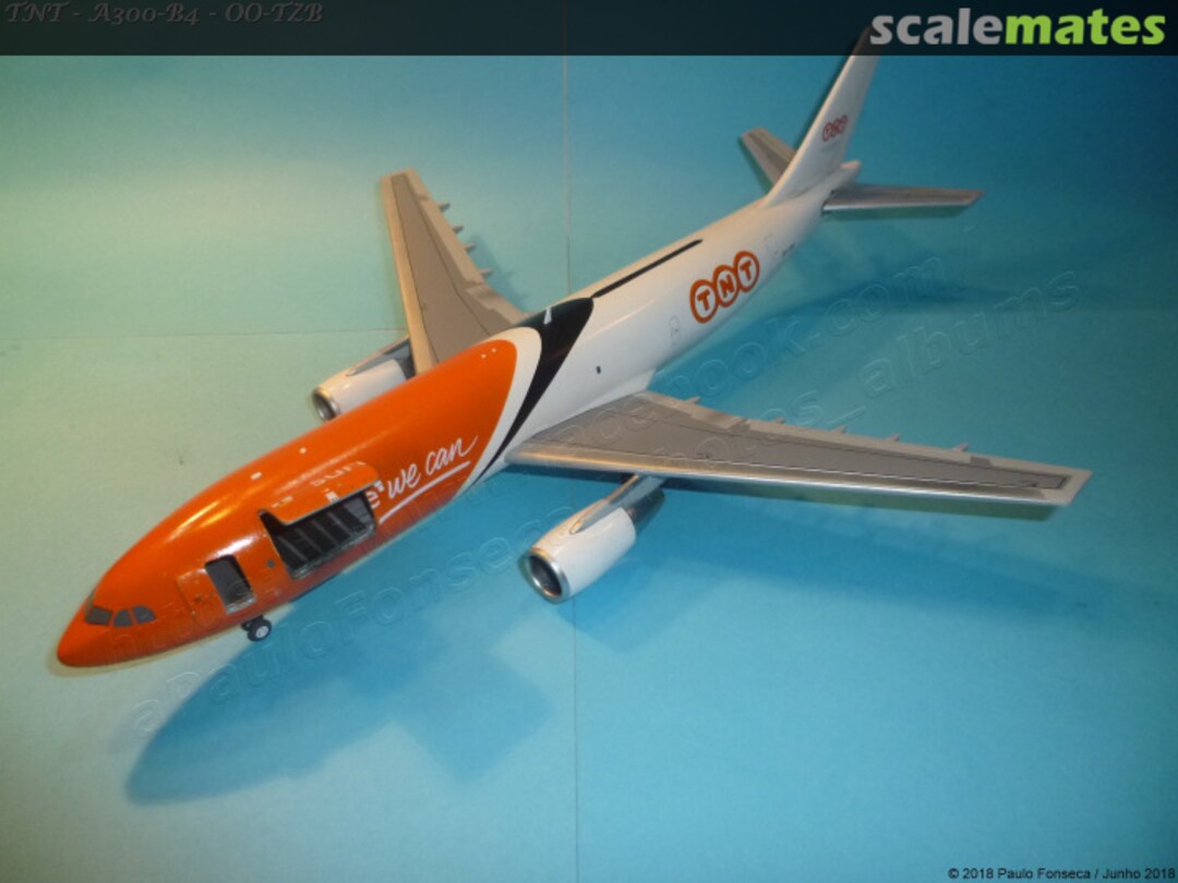 View album, image #45 View album, image #45