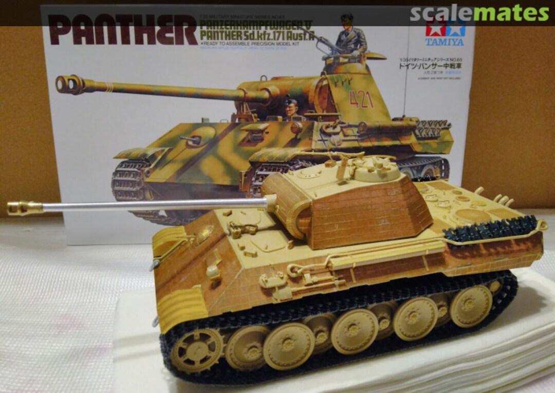 View album, image #1 View album, image #1