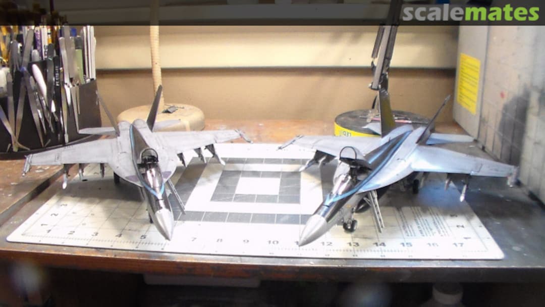 View album, image #1 View album, image #1