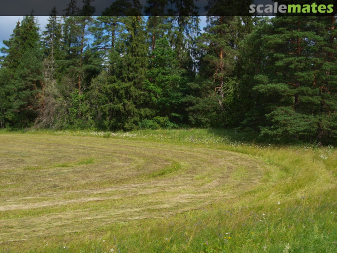 View album, image #1