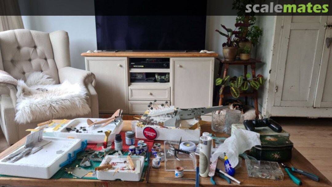 View album, image #7