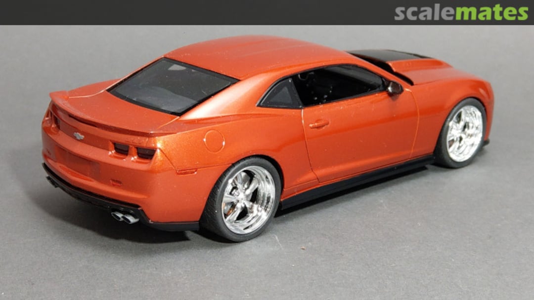 View album, image #1 View album, image #1