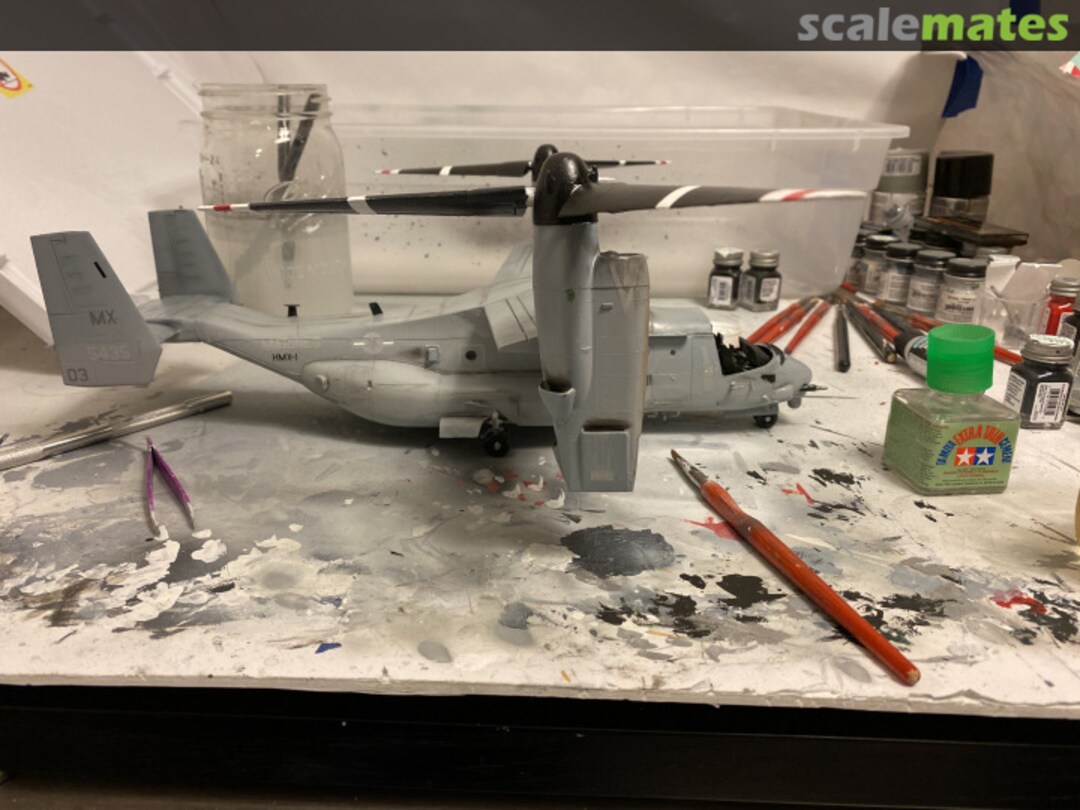 View album, image #1