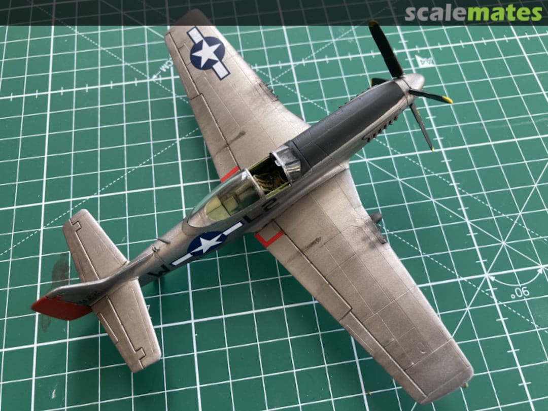 View album, image #11 View album, image #11