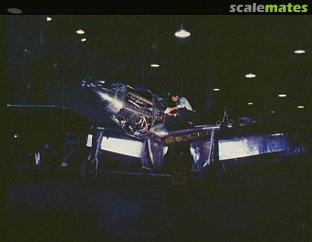 View album, image #1 View album, image #1