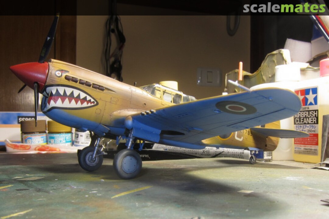 View album, image #14