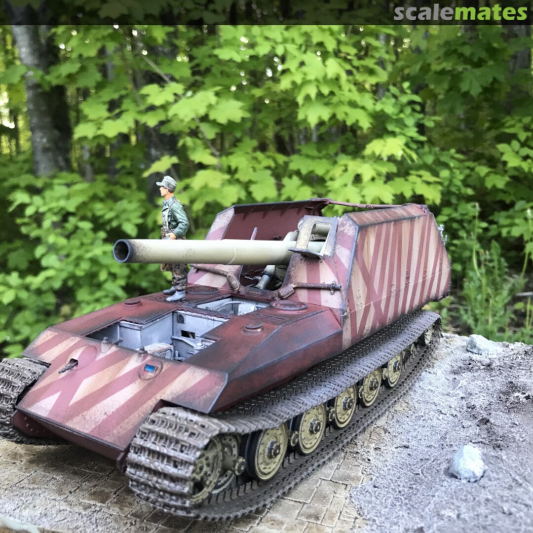 View album, image #2 View album, image #2