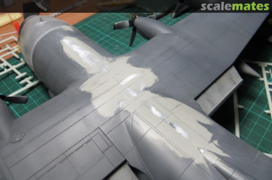 View album, image #18 View album, image #18