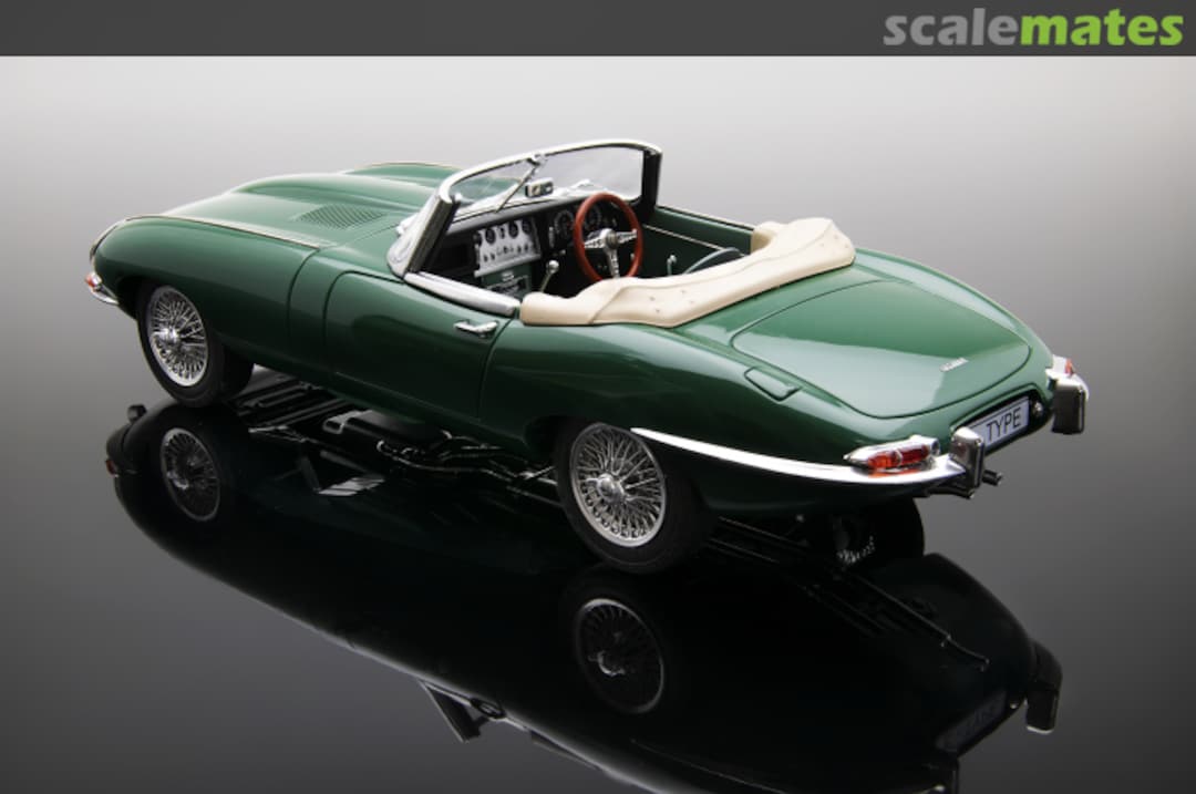 View album, image #1 View album, image #1