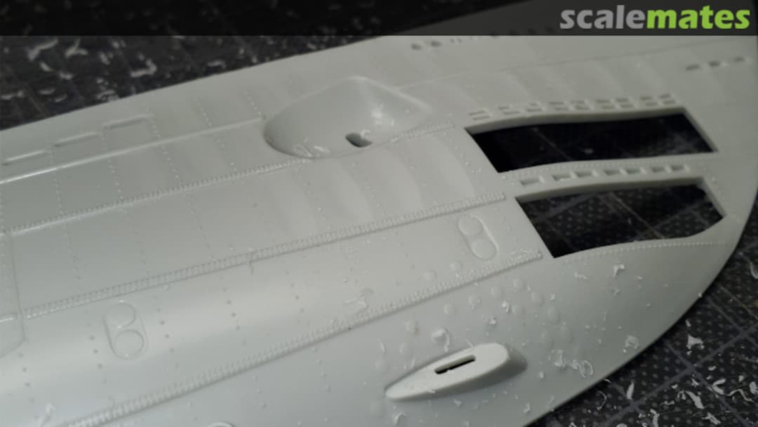 View album, image #1 View album, image #1