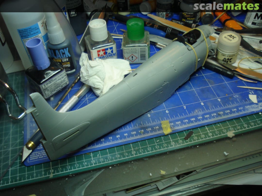 View album, image #12 View album, image #12