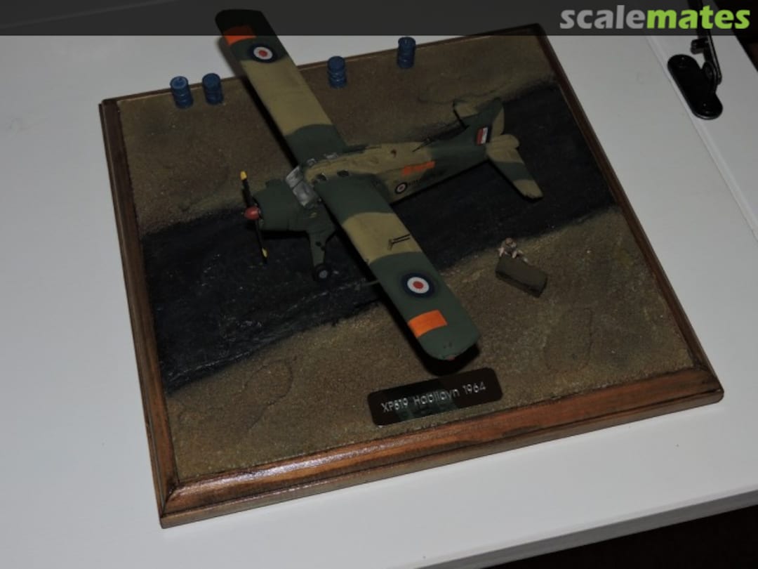 View album, image #1 View album, image #1