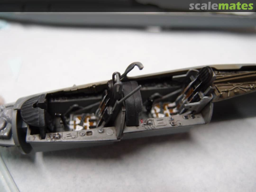 View album, image #1 View album, image #1