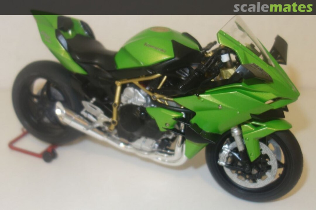 View album, image #1 View album, image #1