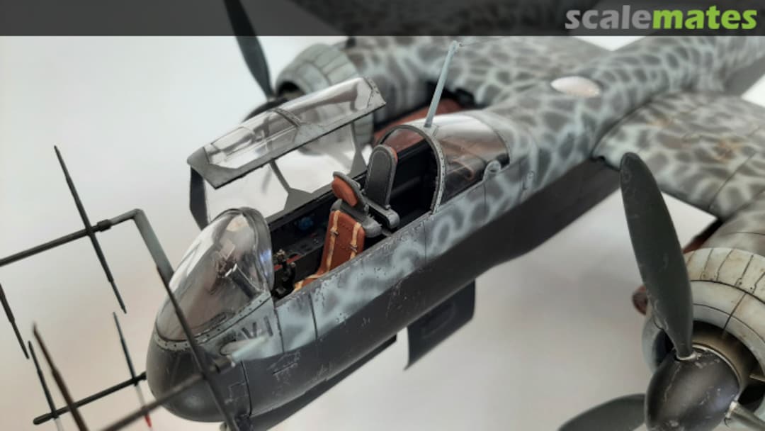 View album, image #20