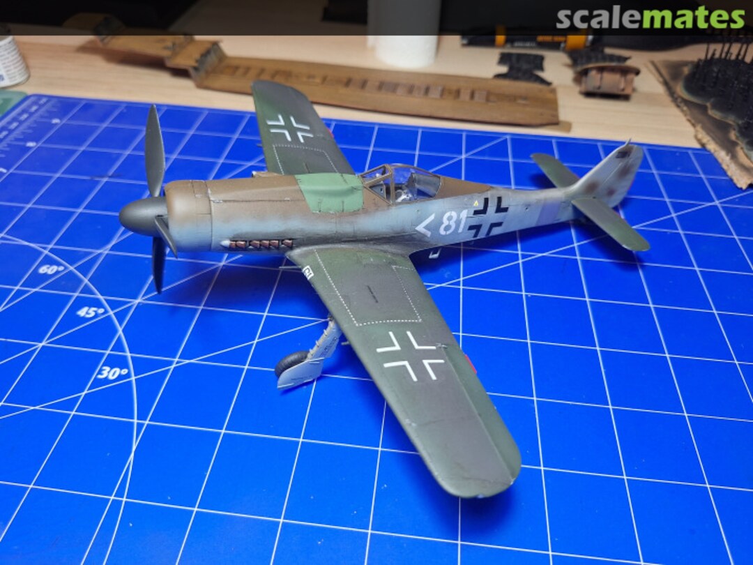 View album, image #13 View album, image #13