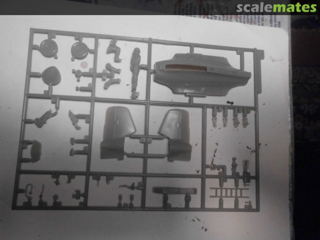 View album, image #1 View album, image #1