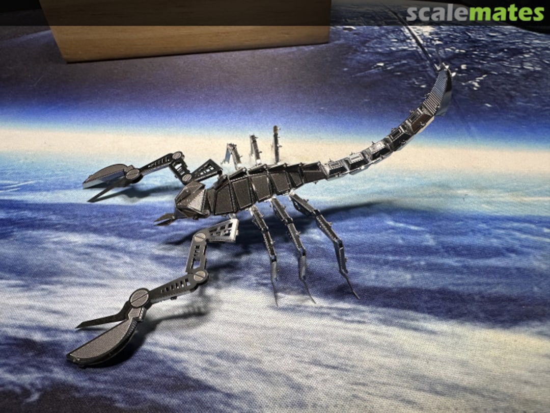 View album, image #24