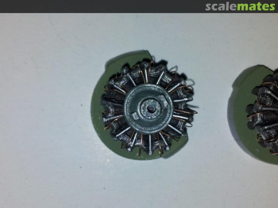 View album, image #1