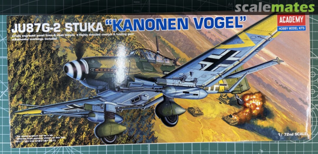 View album, image #1