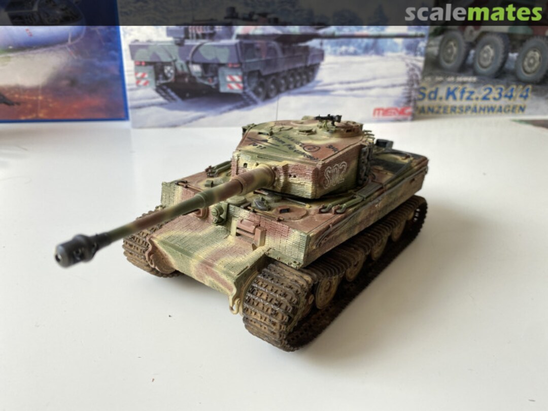 View album, image #1 View album, image #1