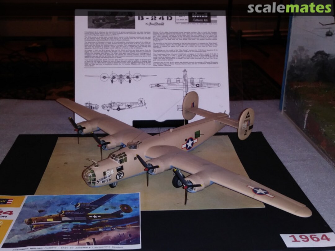 View album, image #1 View album, image #1