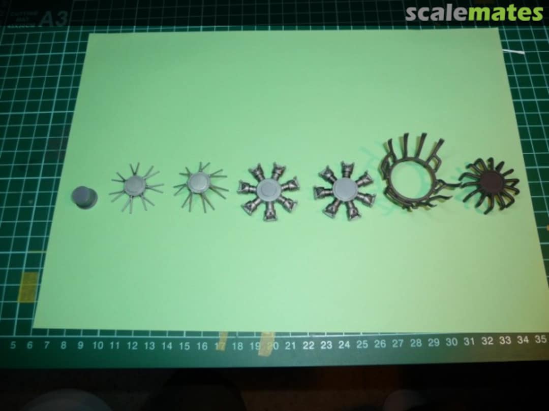 View album, image #1 View album, image #1