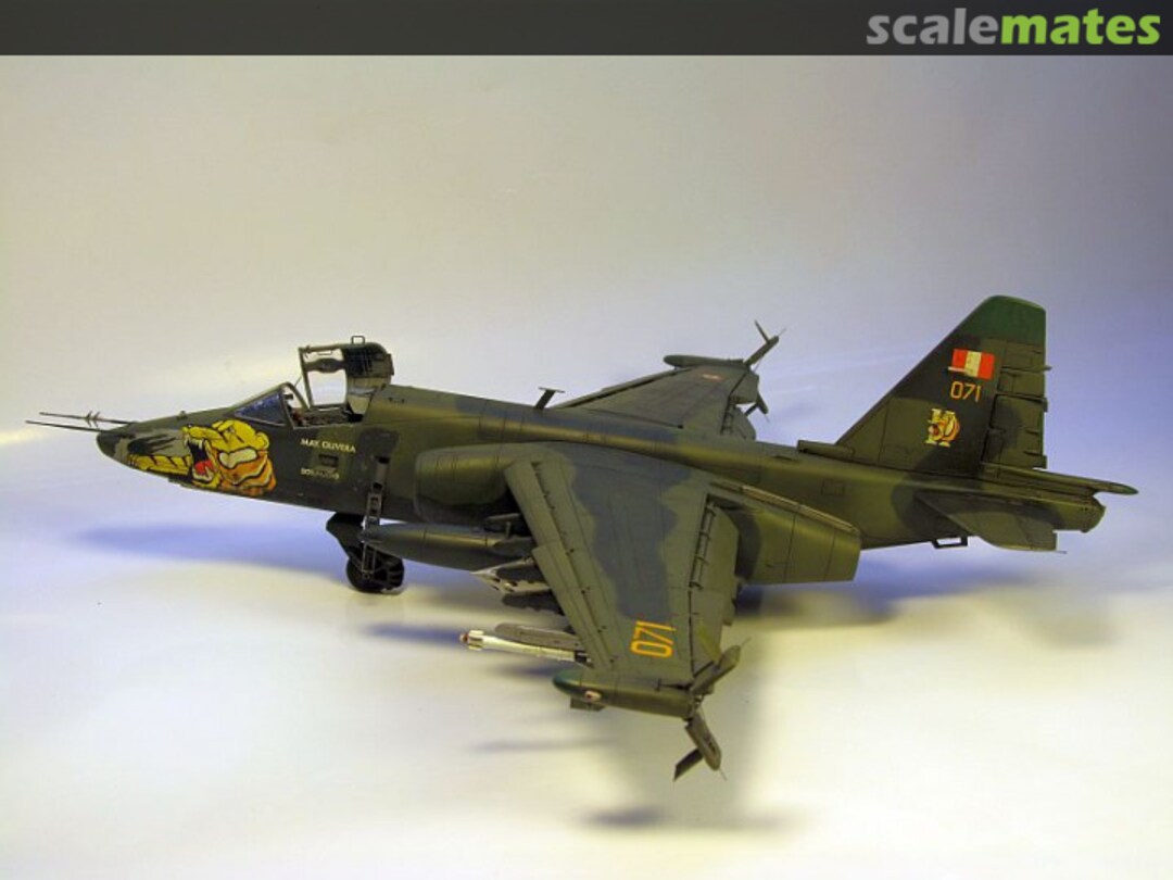 View album, image #9 View album, image #9