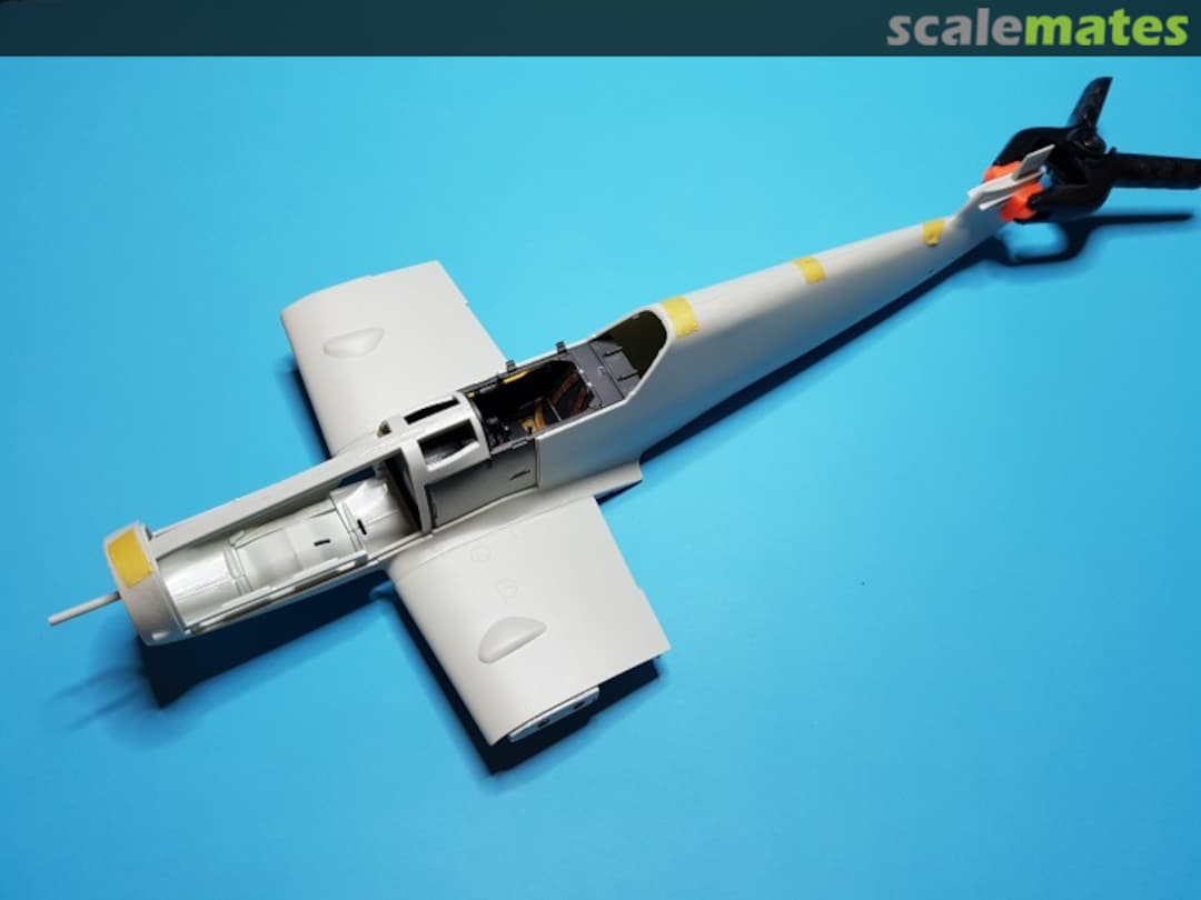 View album, image #1 View album, image #1