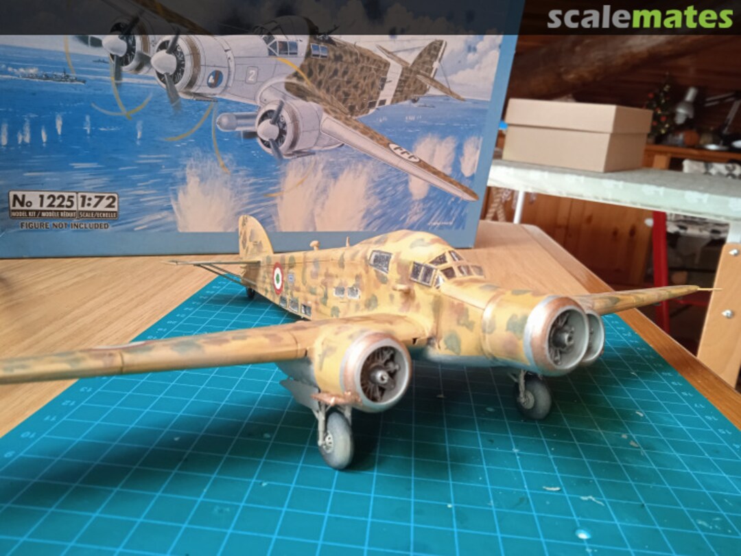 View album, image #1 View album, image #1