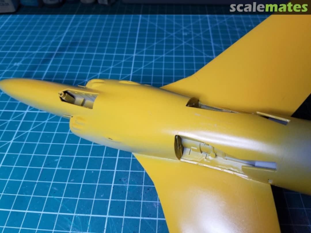 View album, image #1 View album, image #1