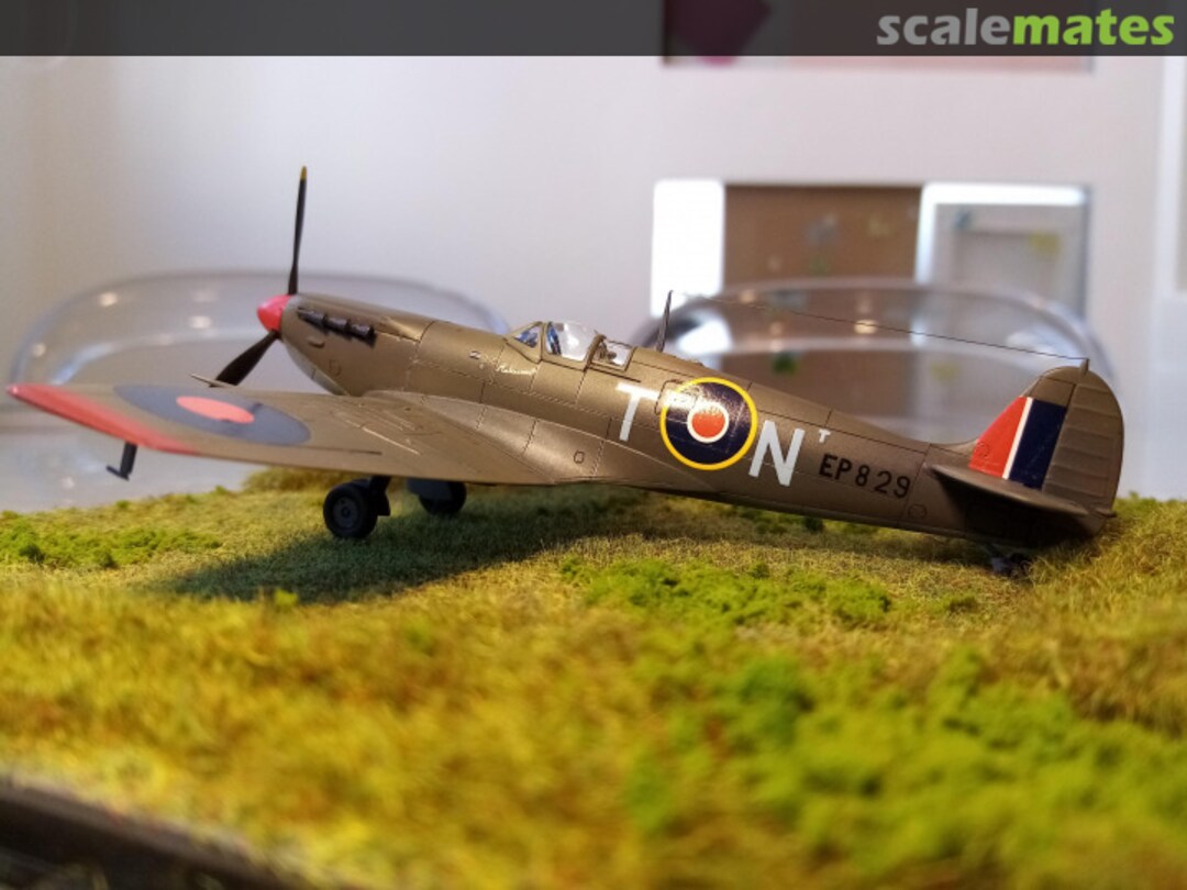 View album, image #13 View album, image #13