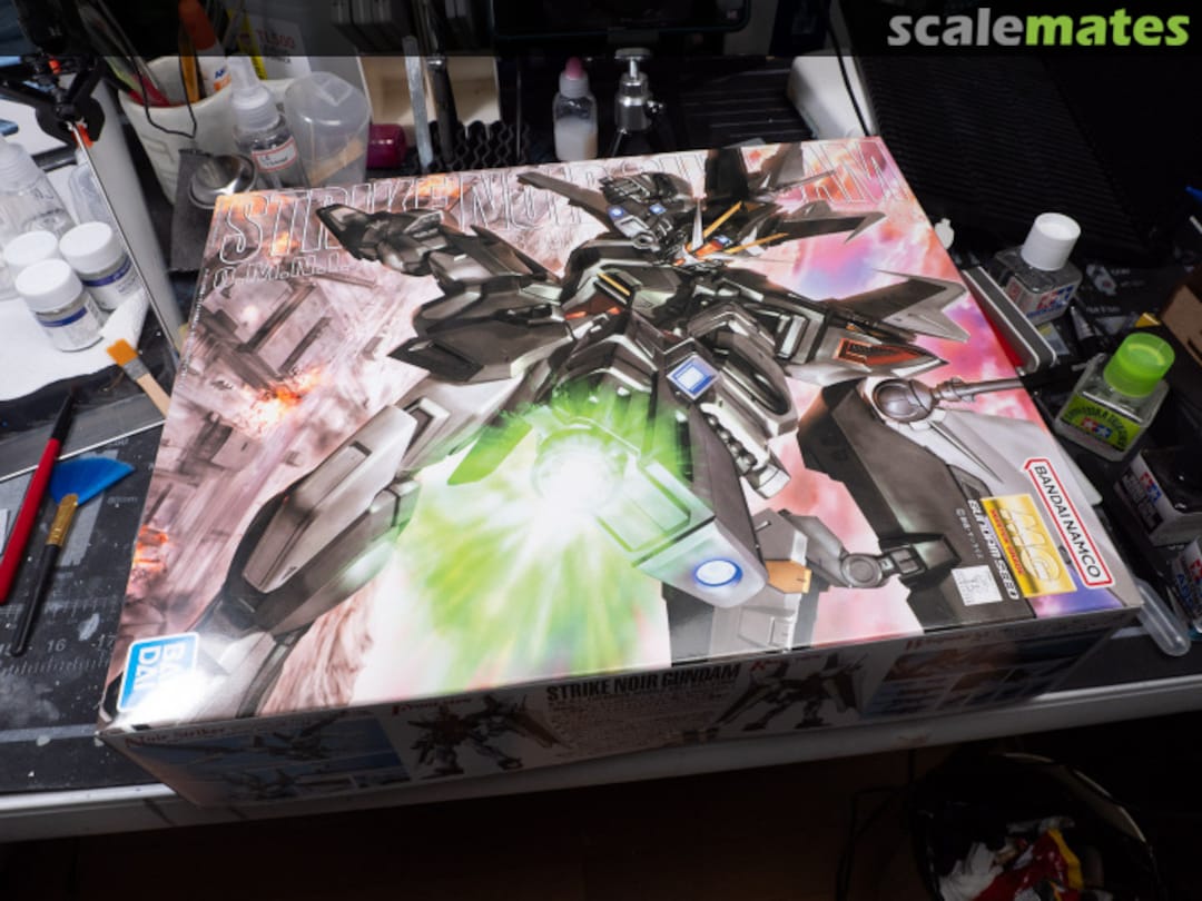 View album, image #1 View album, image #1