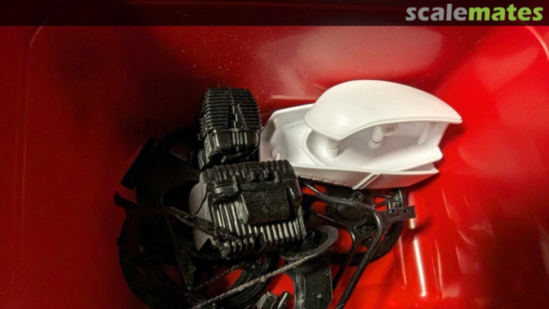 View album, image #1 View album, image #1