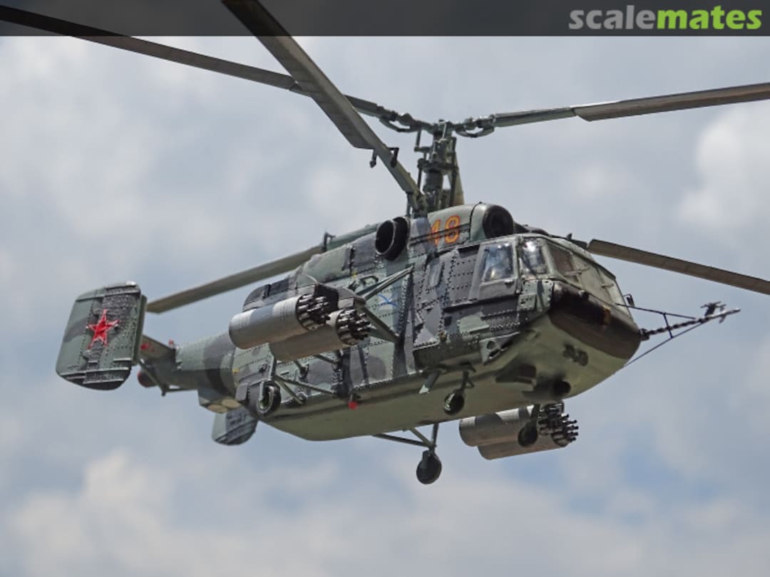 View album, image #1 View album, image #1