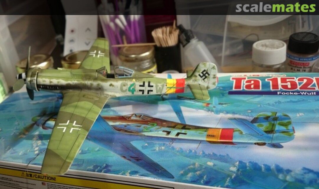 View album, image #1 View album, image #1