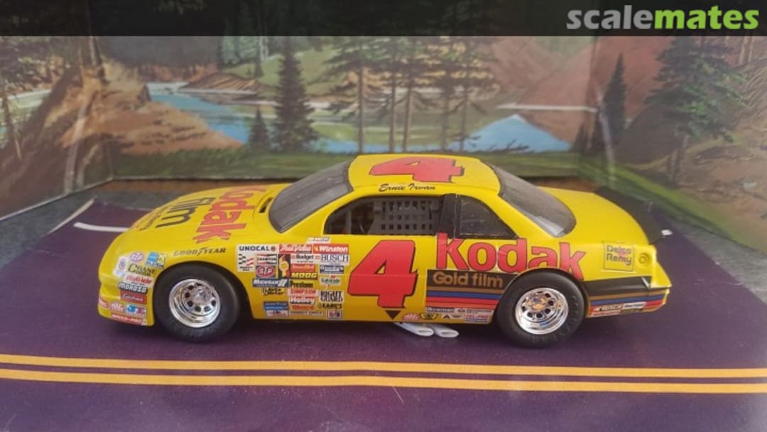 View album, image #1 View album, image #1