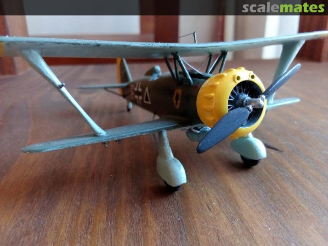 View album, image #1 View album, image #1