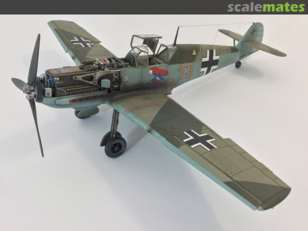 View album, image #1 View album, image #1