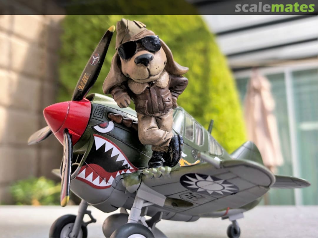 View album, image #1 View album, image #1