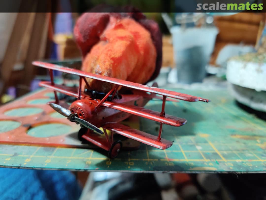 View album, image #1