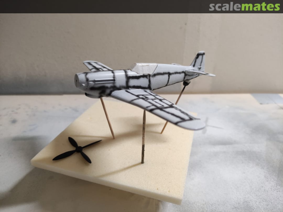 View album, image #5 View album, image #5